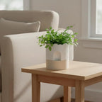 Nihow Ceramic Self Watering Pots for Indoor Plants, 6 Inch,Beige - Image 4