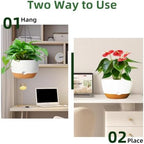 Hanging Planters, 3 Pack, Self-Watering, 10 Inch, Multicolor - Image 4