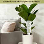 Ziliny 8 Sets Terracotta Plant Watering Spikes with Bottles - Image 6
