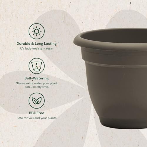 Bloem Ariana 10" Plastic Self-Watering Planter, Peppercorn, 4-Pack - Image 3