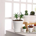 Terra Cotta Pots with Saucer- 6-Pack Large Terracotta Pot Clay Pots 5.5'' Clay Ceramic Pottery Planter Cactus Flower Pots Succulent Pot with Drainage Hole- for Plants,Crafts terra cotta planter(White) - Image 5