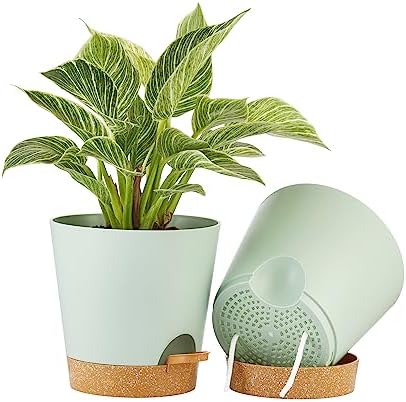 FaithLand 2 Tier Plant Stand and 2-Pack 8 Inch Self Watering Pots Bundle - Image 5