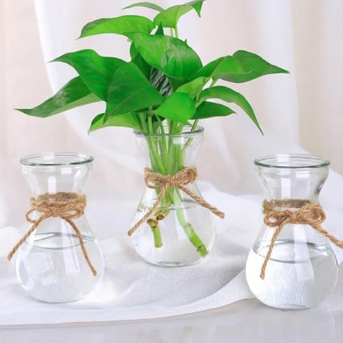 3pcs Glass Vase for Hydroponic Plants, Decorative Flower Display Xmas - Image 4