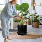 Ceramic Plant Saucer Tray 9 10 11 Inch Black, 11.3" OD x9.7 ID x1.8 Deep| Round Sturdy Heavy Duty Glazed Bevel Planter Drip Flower pots with Catch Basin for Indoor Outdoor Plants - Image 6