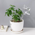 NUOBESTY 3pcs Glass Star Self Watering Bulb, Visible Water Level - Image 6