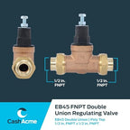 Cash Acme EB45 Pressure Regulating Valve, Double Union, 1/2 Inch NPT Female, Poly Top, 60 PSI, PVA08P-DUTH-60 - Image 5