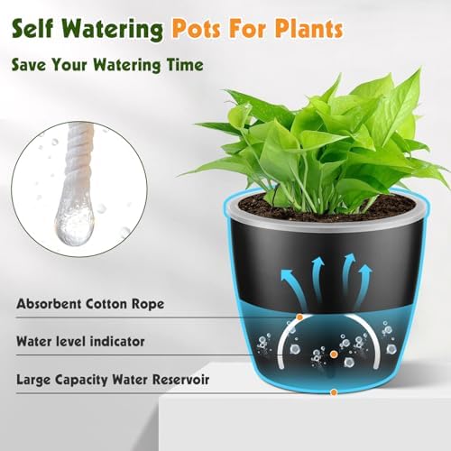 Self-Watering Pots for Indoor Plants, 8-Pack Self Watering Planter with Drainage Holes, Small African Violet Pots with Water Indicator, 5-Pack 5''/3-Pack 6.7'' Orchid Pot, Black - Image 4