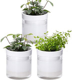 Phoenix Vine 4 Inch Self Watering Planter, White Terracotta Clay Pot with Glass Reservoir for Indoor Plants, Herbs, Flowers, Set of 3, 52-B-E-3 by Phoenix+Vine