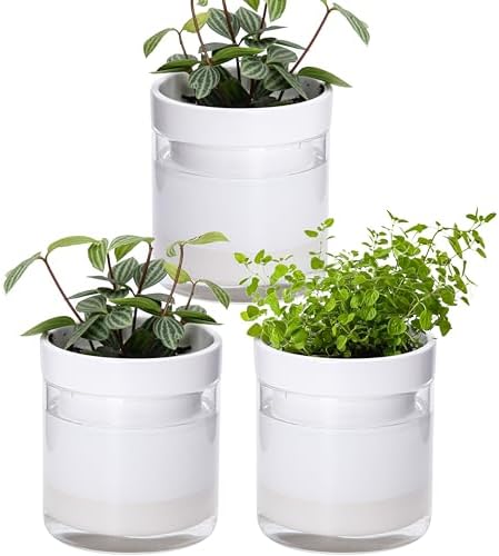 Phoenix Vine 4 Inch Self Watering Planter, White Terracotta Clay Pot with Glass Reservoir for Indoor Plants, Herbs, Flowers, Set of 3, 52-B-E-3 by Phoenix+Vine