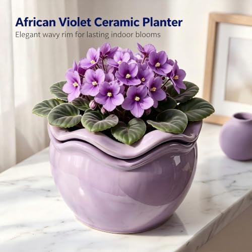 6.5 inch self Watering African Violet pots, Smoky Purple - Image 2