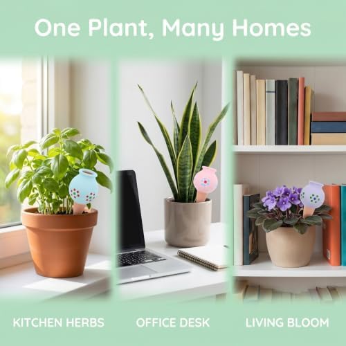Kisangel 4pcs Terracotta Self-Watering Stakes for Potted Plants and Houseplants, Jar Shape Automatic Irrigation Spikes, Easy Maintenance and Prevent Root Rot, for Small Potted Plant - Image 3