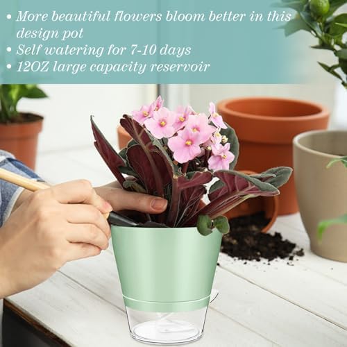 Funnymoom 12 Pack 6 Inch Self Watering Plant Pots Self Watering Planters with with Visual Reservoir and Drainage Hole Plastic Flower Pots for Indoor Plants African Violets Flowers - Image 6