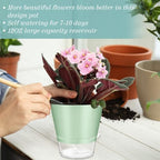 Funnymoom 12 Pack 6 Inch Self Watering Plant Pots Self Watering Planters with with Visual Reservoir and Drainage Hole Plastic Flower Pots for Indoor Plants African Violets Flowers - Image 6
