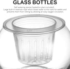 OSALADI Transparent Hydroponic Glass Plant Water Storage Bottle with Removable Watering Planter Basket Self-Watering Flowerpot for Indoor Desktop Office Cafe Large Capacity Reservoir - Image 3