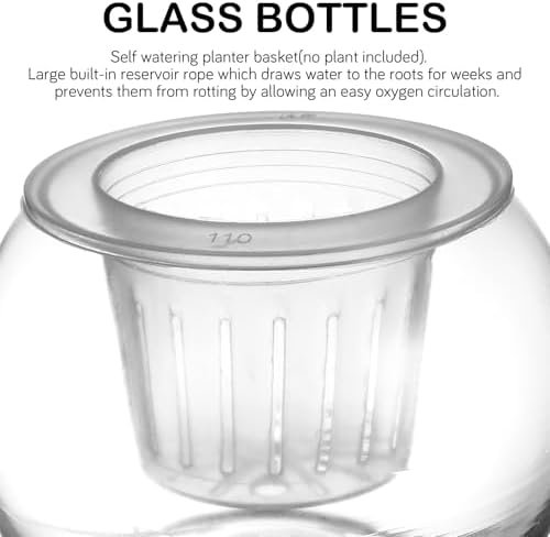 OSALADI Transparent Hydroponic Glass Plant Water Storage Bottle with Removable Watering Planter Basket Self-Watering Flowerpot for Indoor Desktop Office Cafe Large Capacity Reservoir - Image 3