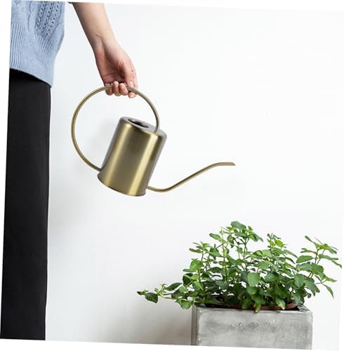 Generic Stainless Steel Long Spout Watering Can Practical Brass Watering Pot for Indoor Outdoor Plants Precise Pouring Leak-Resistant Design Comfortable Grip Gardening Tool - Image 2