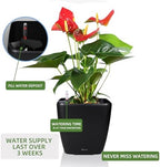 Dexceder 15x14 Self Watering Planter with Wheels (Black Matte) - Image 5
