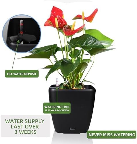 Dexceder 13x12 Self Watering Planter with Wheels (Black Matte) - Image 5