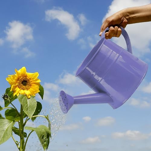 Metal Watering Can for Indoor Outdoor Garden Modern Minimalist Design with Detachable Sprinkler Head Ergonomic Comfort Grip Handle Efficient Irrigation Tool for Flower Lovers and (D, 24.5X11.5X11CM) by Unknown