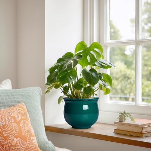 6 Inch Self Watering Plant Pots, Ceramic African Violet Pot with Absorbent Inner Pot, Easy Self Watering Pots for Indoor Plants, Ceramic Planter, Room Decor, Plant Lover Gifts, Blackish Green - Image 4