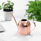 HANABASS 1000ml White Stainless Steel Water Can for Plants Scratch Modern Style - Image 6