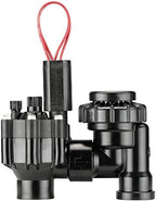 Hunter 3/4" Anti-Siphon Valve and Rain Bird 3/4" 30 PSI Drip Irrigation Pressure Regulating Filter - Image 2