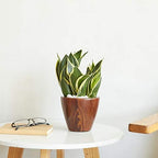 10 in Self-Watering Planters, 2-Pack, 10 Inch, Dark Brown Wood Look - Image 5