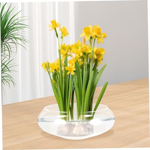 BESPORTBLE Glass Plant Pot Water Container for Flowers and Green Plants - Image 7