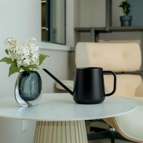 Watering Can for Indoor Long Spout Metal 1000ml for Succulents Watering Can - Image 5