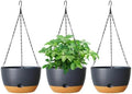 Hanging Planters, 3 Pack, Self-Watering, 10 Inch, Grey by Unknown