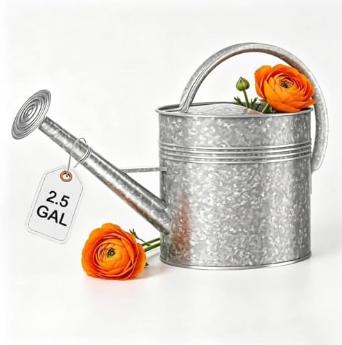 Galvanized Watering Can for Outdoor Indoor Plants, 2.5 Gallon Ellipse Decorative Countryside Style Water Can with Removable Spout, Metal Watering Can for Indoor Plants and Garden Flower by LONGRUNHOME