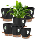 Self Watering Planter Set with Visual Water Level, 6Pack Small Plastic Pot with Drainage Holes and Reservoir Saucers, Modern 8+7+6.5+6+5.5+5 Inch Bottom Watering Flower Pots for Indoor Plant - Black by Ezmixcoop