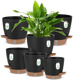 Self Watering Planter Set with Visual Water Level, 6Pack Small Plastic Pot with Drainage Holes and Reservoir Saucers, Modern 8+7+6.5+6+5.5+5 Inch Bottom Watering Flower Pots for Indoor Plant - Black by Ezmixcoop