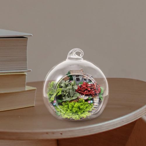Glass Globe Terrarium Hanging Planter 12pcs for Succulents and Moss - Image 7