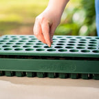 Vego garden Seedling Suite Products 10" x 20" 76 Cells Stackable Seed Starter Germination Tray with 3-in-1 Plant & Pop Board and 10" x 20" Bottom Watering Tray - Image 4