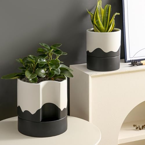 Nihow Self Watering Plant Pot, 8 Inch, White & Wave Black - Image 6