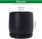 D'vine Dev Beaded Ceramic Pot with Saucer, 10 in, Ebony Matte, 27-C-P-6 - Image 3