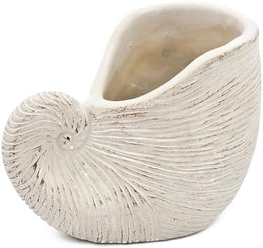 Nautilus Shell Planter, 8.5 Inch, Beige - Image 7
