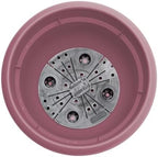 Bloem Ariana 8" Plastic Self-Watering Planter, Dusty Rose, 4-Pack - Image 6