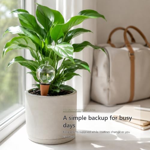 4 Pack Self-Watering Globes - Image 2