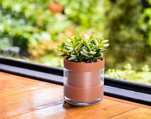 Phoenix Vine 4 Inch Self Watering Planter Pot, Terracotta Clay Pot with Glass Reservoir for Indoor Plants, Herbs, Flowers, Set of 3, 52-A-E-3 - Image 5