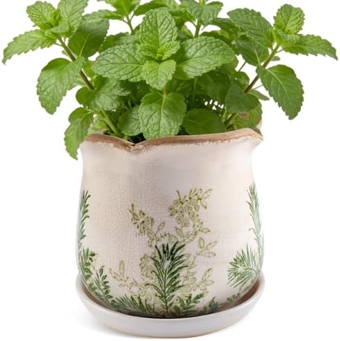 Ceramic-Planters-for-Indoor-Plants with Saucer, 6 inch Vintage Ice Crackle Glaze Plant Pots with Drainage Holes, Decorative Flower Pots for Outdoor Garden Home Decor, Tuscan Pot for Plant by Xoogifae