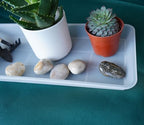VUWEZ 2 Pack of Plastic Plant Tray Saucer Rectangular 30 inch, Plant Trays Saucers for Indoors Outdoor, Plant Water Drip Tray for Flower Pot Planter, Windowsill Plant Tray (8 X 30'', Clear) - Image 3