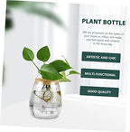 2pcs Glass Hydroponic Plant Bottle Decorative Container - Image 3