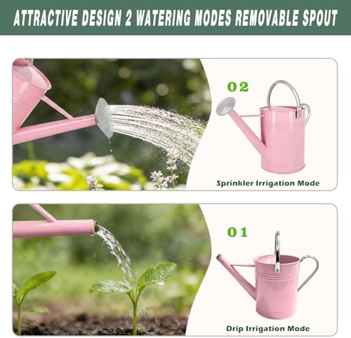 Metal Watering Can for Outdoor Plants, 1.7 Gallon Pink Garden Watering Can for Flower, Houseplants, Galvanized Finish - Image 4