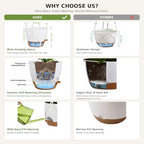 3 Pack Self Watering Hanging Planters for Indoor Plants Large 10/8/7 Inch - Image 6
