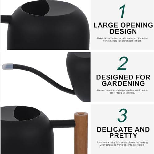 GANAZONO Stainless Steel Long Spout Watering Can with Wood Handle 1.2l for Indoor Plants and Succulents, Black Metal Plant Mister for Home Gardening and Flower Care - Image 7