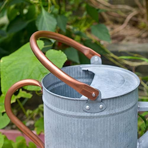 1 Gallon Watering Can, Metal Watering Can with Removable Spout, Farmhouse Galvanzied Water Can, Nice Plant Water Can for Indoor Use and for Outdoor Use - Image 4