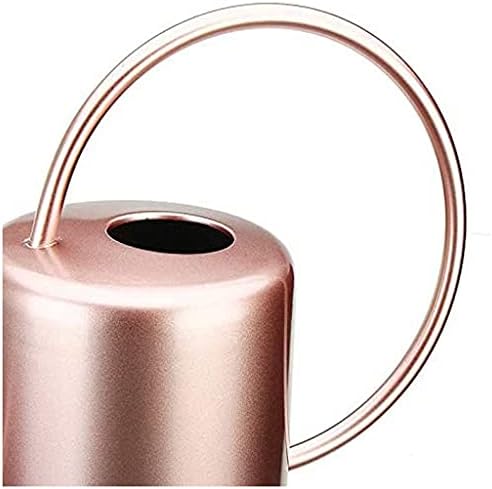 Watering Can Copper Colored Watering Can Metal Watering Can with Detachable Spout Plant Watering Can for Indoor Plants Watering Can-B - Image 3