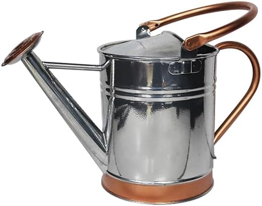 Gardens & Home 1 Gallon Silver Metal Watering Can, Long Spout for No Spillage, Perfect Plant Watering Can for Indoor and Outdoor Plants, Copper Band/Nozzle by Unknown